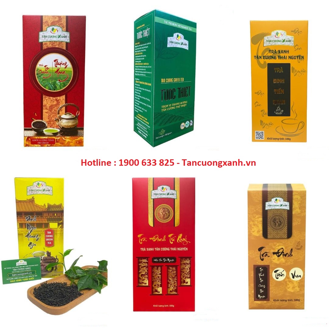 Trà Tân Cương Thái Nguyên - Câu chuyện của lịch sử - 4