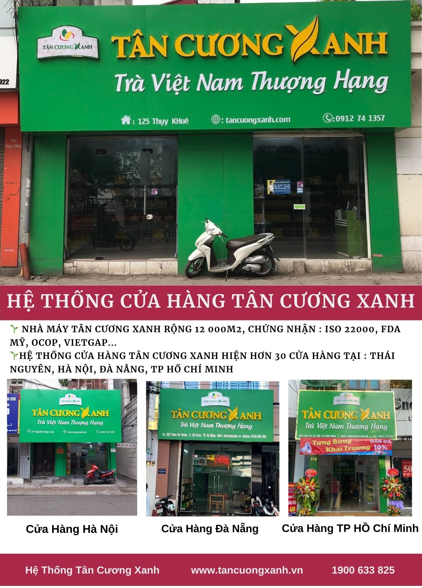 Trà Tân Cương Thái Nguyên - Câu chuyện của lịch sử - 5