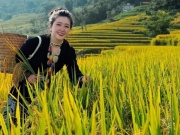 Du lịch - Hòa mình vào đất trời Hồng Thái, cảm nhận mùi hương lúa chín
