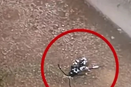 ĐH Bách Khoa Hà Nội xin lỗi sau phản ánh sinh viên phải ăn cơm canh...