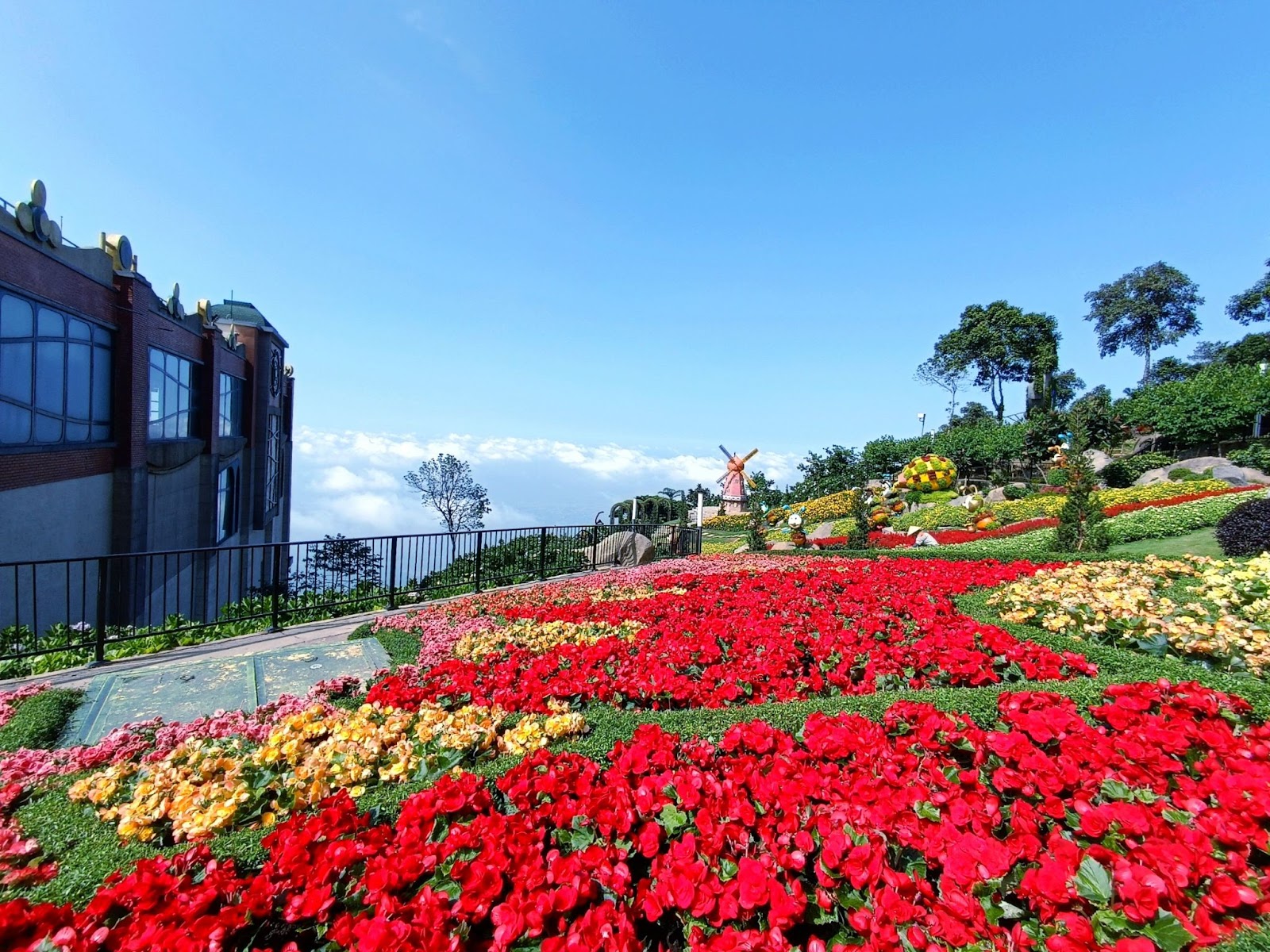 Thiên đường hoa rực rỡ trên đỉnh núi Bà Đen. Ảnh Sun World Ba Den Mountain