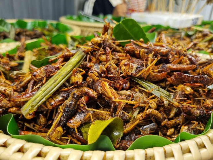 Đến đất Thái, 'oanh tạc' đủ món ngon ở chợ đêm - 4