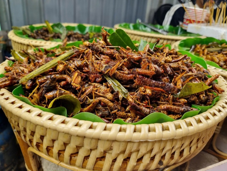 Đến đất Thái, 'oanh tạc' đủ món ngon ở chợ đêm - 5