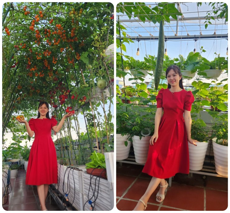 Chị Thu Luy bắt đầu làm khu vườn sân thượng khi dịch Covid-19 bùng phát mạnh ở nước ta.