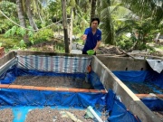 Thị trường - Tiêu dùng - Nuôi loài lưỡng cư quen thuộc, anh nông dân &quot;đút túi&quot; 20 triệu đồng/tháng
