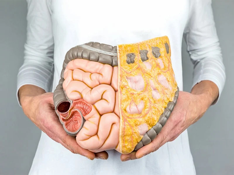 Mỡ vẫn có thể phát triển trở lại nếu như sau phẫu thuật không kết hợp với chế độ ăn uống và sinh hoạt khoa học