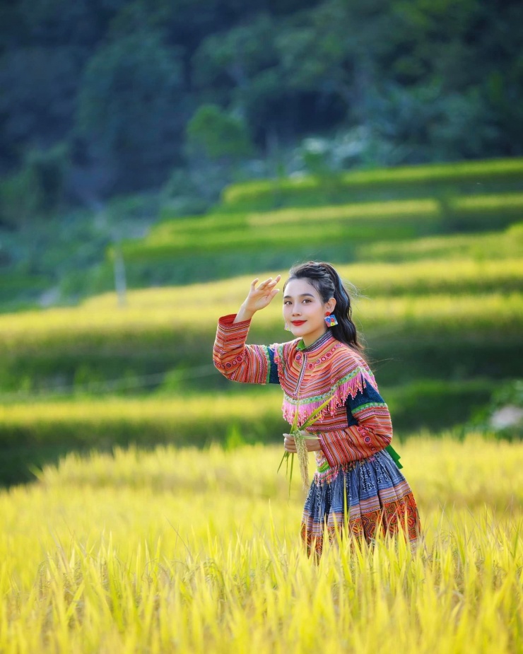 Ruộng bậc thang uốn lượn tạo nên bức tranh mùa vàng sống động.