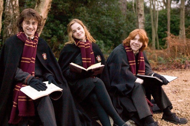 Harry Potter TV series reveals official cast, is it true? - 6