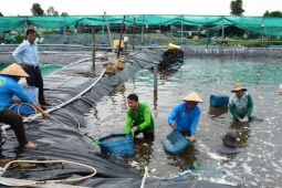  " Sản vật dưới nước "  của Việt Nam được châu Âu săn đón, Trung Quốc cũng tăng mua