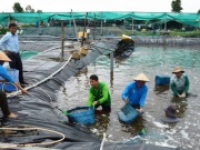 Thị trường - Tiêu dùng - "Sản vật dưới nước" của Việt Nam được châu Âu săn đón, Trung Quốc cũng tăng mua