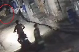 Media - Clip: Chạm trán sư tử, 2 người đàn ông vứt xe bỏ chạy và cái kết