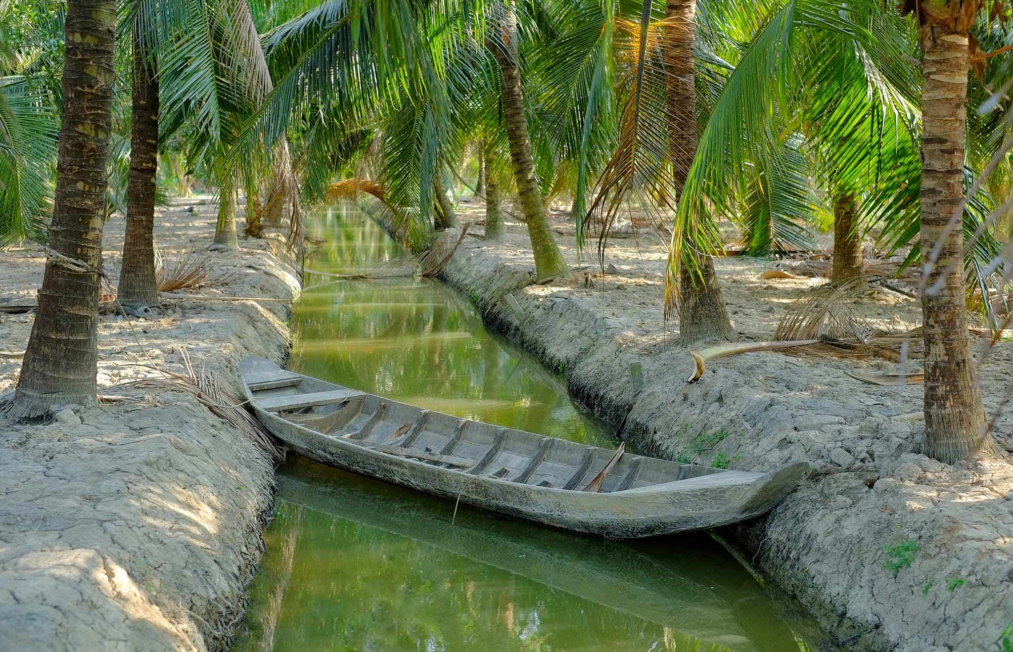 Và có thể trải nghiệm phương tiện di chuyển đặc trưng này để khám phá cuộc sống miền Tây.