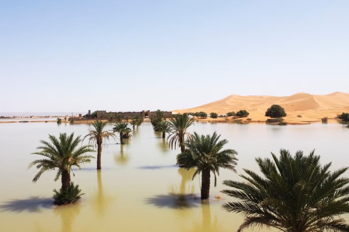 Sa mạc Sahara ngập trong biển nước - 1