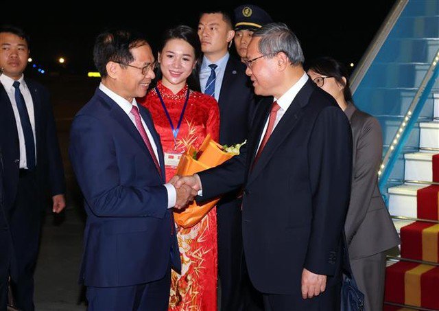 Phó Thủ tướng, Bộ trưởng Ngoại giao Bùi Thanh Sơn đón Thủ tướng Trung Quốc Lý Cường tại sân bay quốc tế Nội Bài, Hà Nội. Ảnh: TTXVN