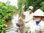 Thị trường - Tiêu dùng - Săn chù ụ 'mặt ngầu' trong rừng ngập mặn kiếm nửa triệu mỗi ngày