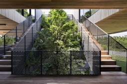 Kinh doanh - Ngôi nhà treo lơ lửng trên cao nhường chỗ cho cây cối phát triển, nhiều cây mọc xuyên qua nhà