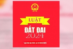 Các mức phạt liên quan đến "sổ đỏ" từ tháng 10/2024