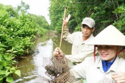 Thị trường - Tiêu dùng - Săn chù ụ 'mặt ngầu' trong rừng ngập mặn kiếm nửa triệu mỗi ngày