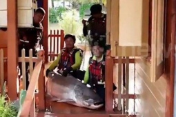 Media - Bắt được cá tra dầu khổng lồ dài 3 mét, nặng 100kg ở ga tàu