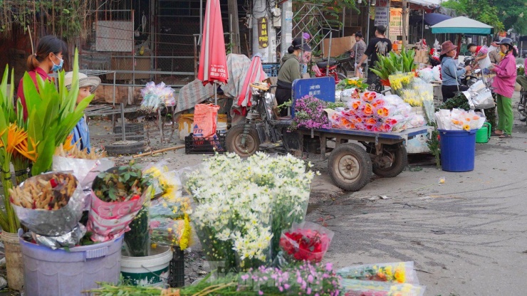 Nông dân làng hoa Mê Linh mất mùa 20/10, &#39;mót&#39; từng bông hồng để bán - 12