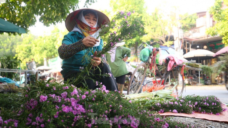 Nông dân làng hoa Mê Linh mất mùa 20/10, &#39;mót&#39; từng bông hồng để bán - 13