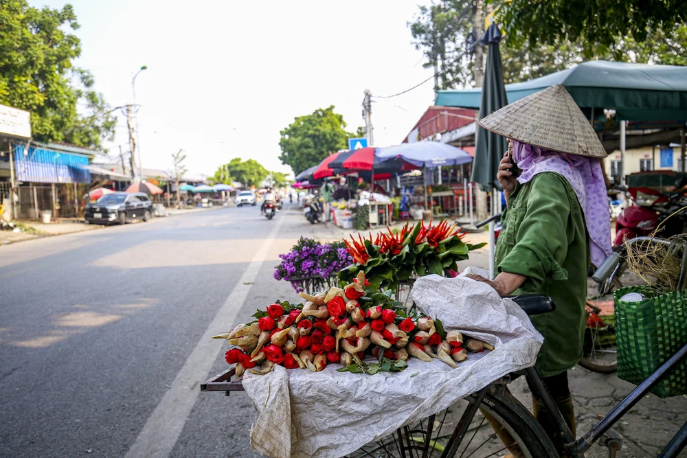 Gần đó là khu chợ buôn bán hoa, dù là thủ phủ hoa hồng nhưng chị cho biết vì gia đình không có hoa để thu hoạch nên phải nhập hoa hồng từ vùng cao về để bán.