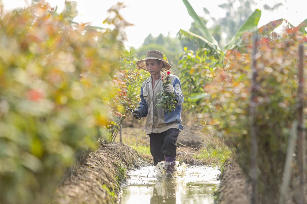Được biết, nơi đây được xem là một trong những 