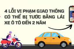 Tin tức ô tô - 4 lỗi vi phạm giao thông có thể bị tước bằng lái xe ô tô đến 2 năm