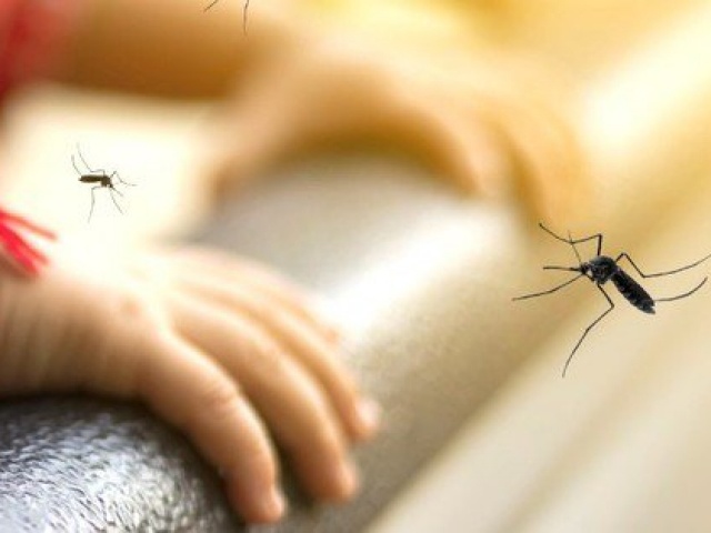 Bé trai 7 tuổi tử vong do sốt xuất huyết Dengue