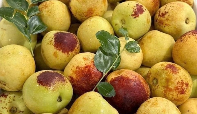 Hồng táo được nhập về chợ đầu mối nông sản Thủ Đức (TP HCM). Ảnh: Linh Đan