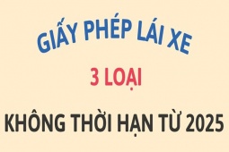 Tin tức trong ngày - 3 loại giấy phép lái xe không có thời hạn theo luật mới