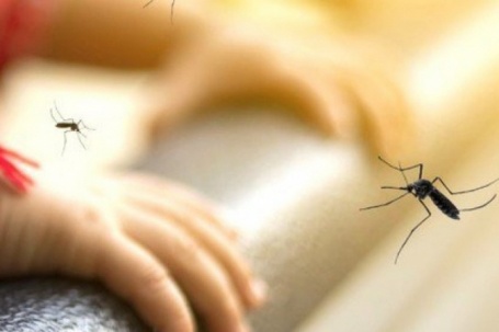 Bé trai 7 tuổi tử vong do sốt xuất huyết Dengue