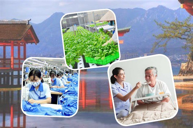 Trung tâm liên kết với nhiều doanh nghiệp, trường học để mang đến cơ hội tốt cho người trẻ