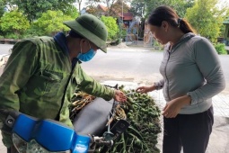 Thị trường - Tiêu dùng - Trung Quốc bất ngờ ngừng thu mua, giá cau tươi cắm đầu lao dốc, rớt 50 giá chỉ trong vài ngày