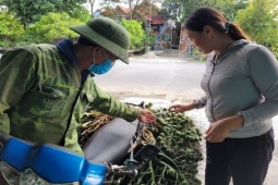 Thị trường - Tiêu dùng - Trung Quốc bất ngờ ngừng thu mua, giá cau tươi cắm đầu lao dốc, rớt 50 giá chỉ trong vài ngày