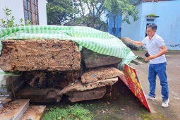 Tin tức trong ngày - Vụ vớt 'cây gỗ lạ' ở Kon Tum: Đấu giá thành công nhưng người vớt không được thưởng