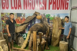 Pháp luật - Livestream bán 3 tấn đồ gỗ thủy tùng quý hiếm, 2 đối tượng ở Đắk Lắk bị khởi tố