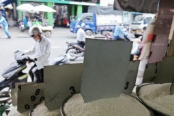 Thị trường - Tiêu dùng - Ấn Độ bỏ giá sàn xuất khẩu, gạo Việt Nam có bị tác động?