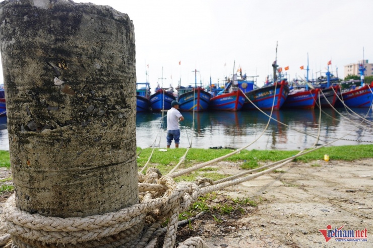 &nbsp;Ngư dân thả neo, dùng dây thừng buộc chặt tàu để tránh va đập khi gió bão. Ảnh: Hồ Giáp