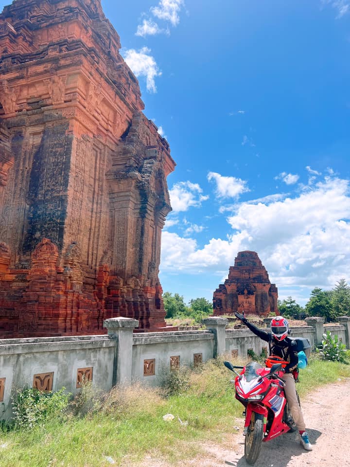 Hình ảnh Hoa Hướng Dương tại di tích tháp chàm – Phan Rang – Ninh Thuận.