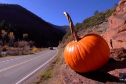 Media - Những quả bí ngô kỳ lạ lại xuất hiện một cách bí ẩn tại Mỹ