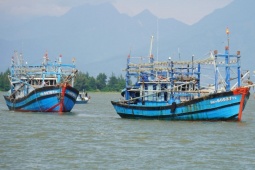 Tin tức trong ngày - Bão Trà Mi tăng cấp, tàu cá miền Trung hối hả vào bờ