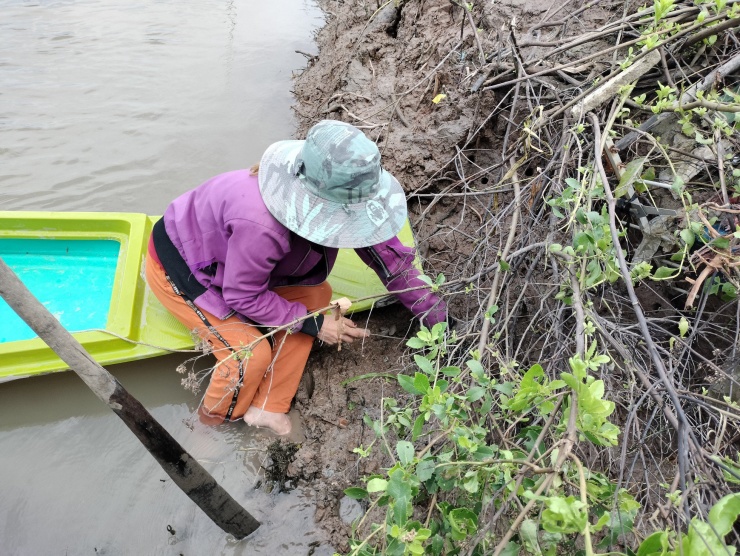 Chem chép thường làm hang và trú ẩn dưới lớp đất bùn từ 20-30cm.
