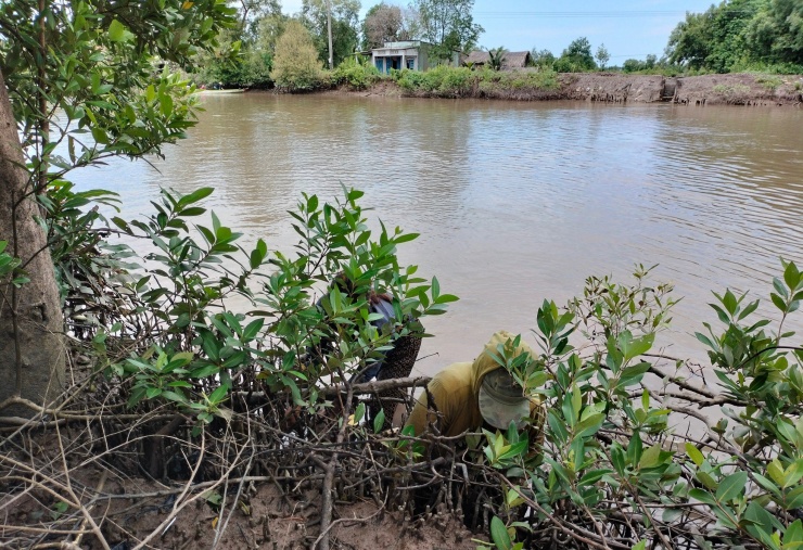 “Do nhà nghèo, cha mẹ không có điều kiện cho con đi học nên tụi nhỏ chỉ học được tới lớp 4, 5 rồi nghỉ. Xóm này duy nhất có 1 cháu học được tới lớp 9”, vị trưởng ấp này chia sẻ.