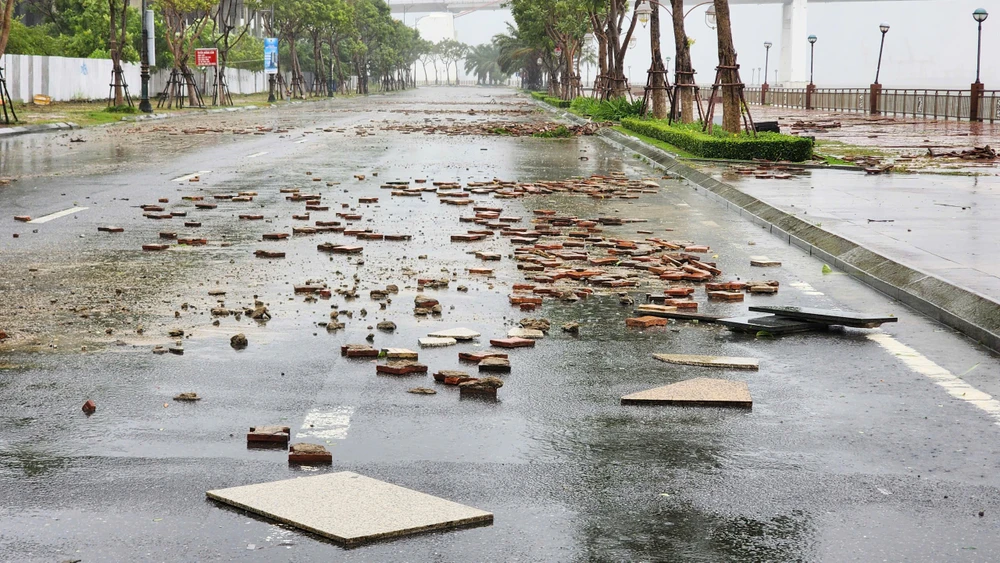 Bão Trà Mi gây sóng mạnh đánh bật gạch trên vỉa hè, thân cây to bị xé gãy - 8