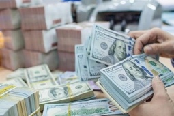 Tỷ giá USD hôm nay 27/10/2024: Biến động thế nào?