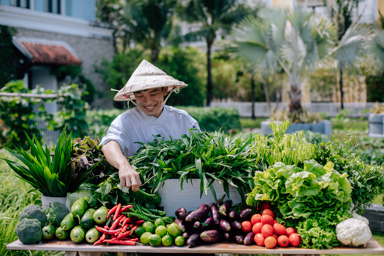 Nguyên liệu tươi ngon thu hoạch từ JW Herb Garden