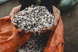 Món ăn bình dân giá rẻ như cho nay hóa "mỏ vàng", bán 150.000 đồng/kg