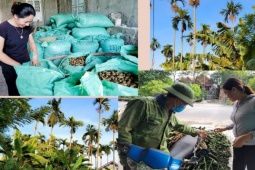 Cau rớt giá không kịp trở tay, nhiều người ôm đống hàng hơn chục tỷ đồng vỡ mộng làm giàu