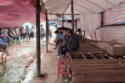 Tin tức trong ngày - 'Đi không được ở không xong' trong vùng sạt lở